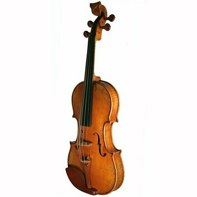 Golden Tasman 4 String Custom Electro-Acoustic Violin