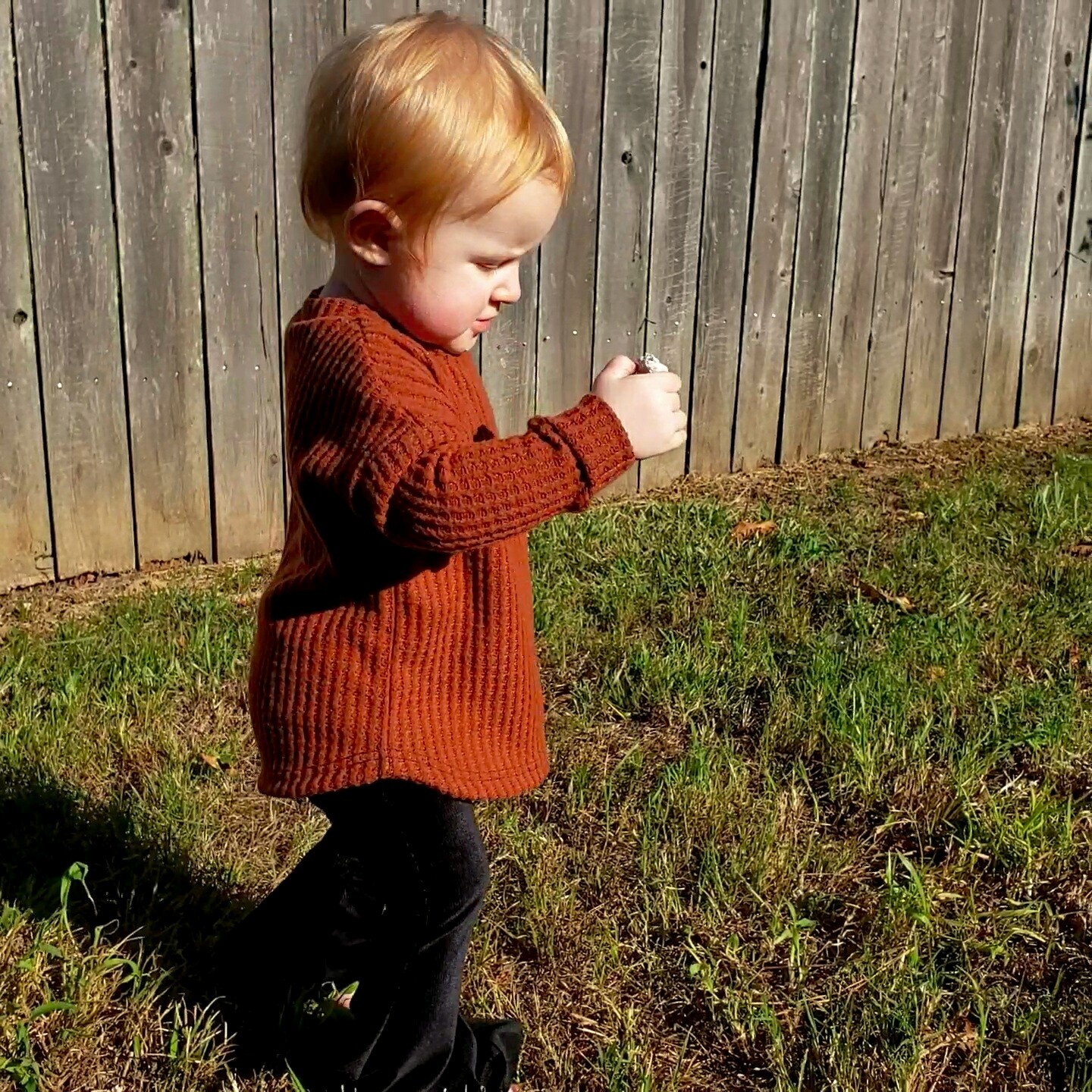 Black velvet flares