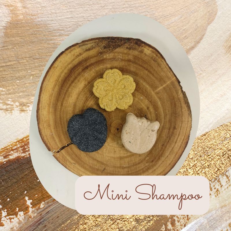 MINI SHAMPOO &amp; BALSAMO