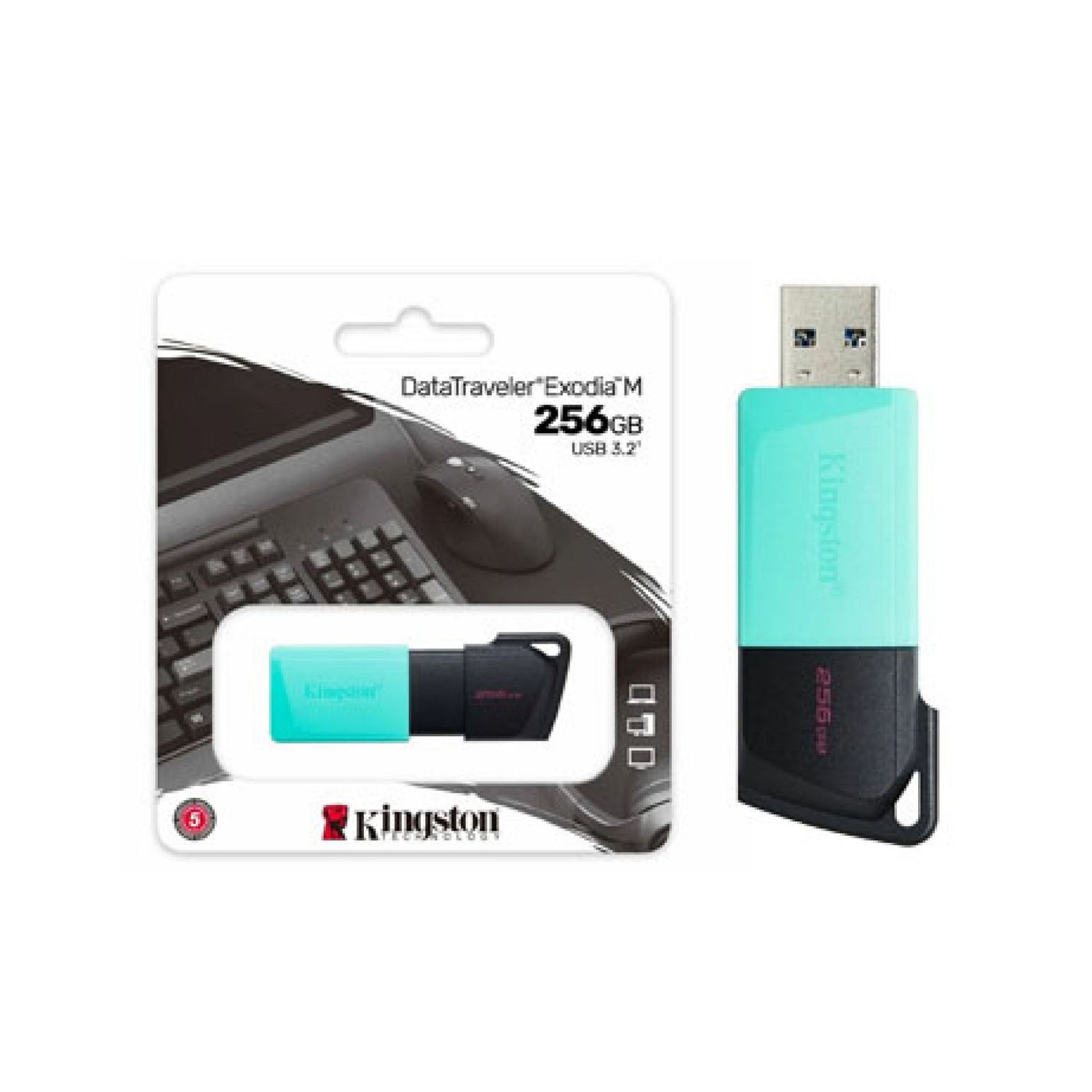 Pen Drive USB 3.2 de 256GB Kingston (DTXM/256GB)