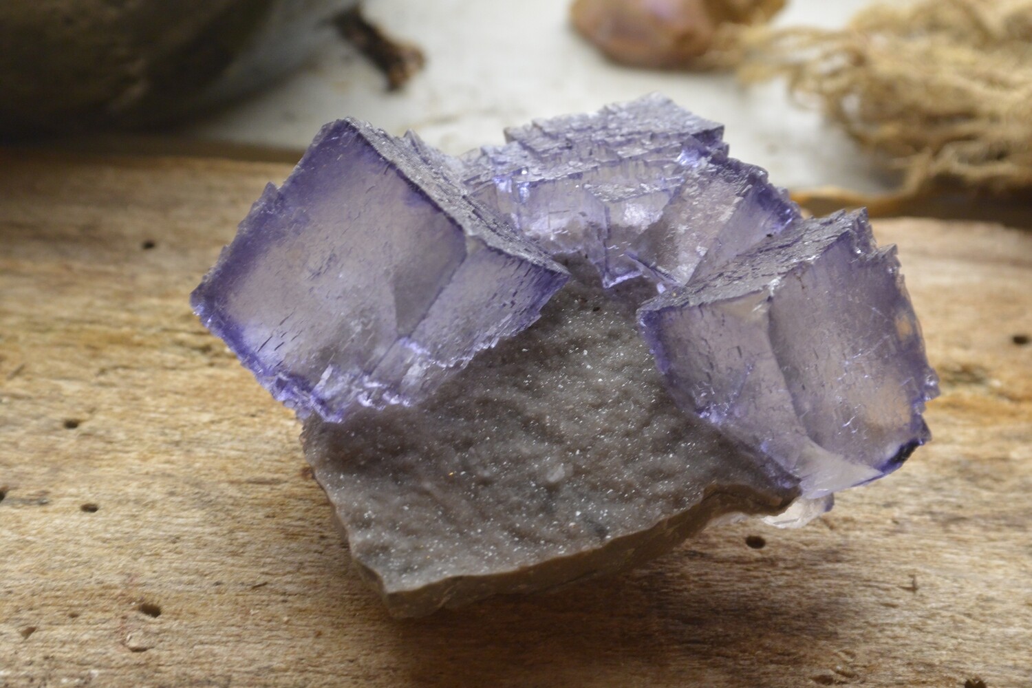 Tennessee Elmwood Purple Fluorite Cube Cluster in Dolostone Matrix