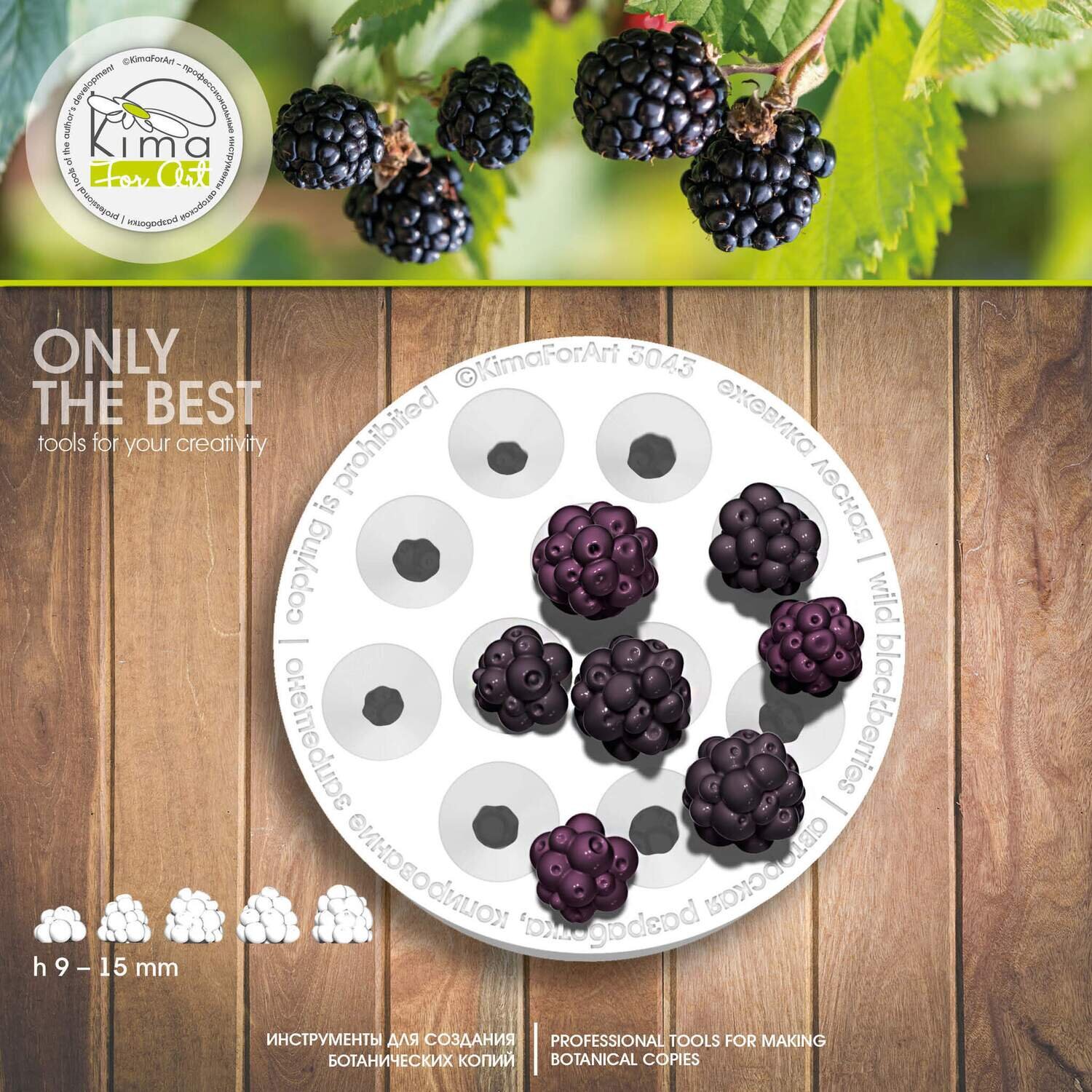 Blackberries berries