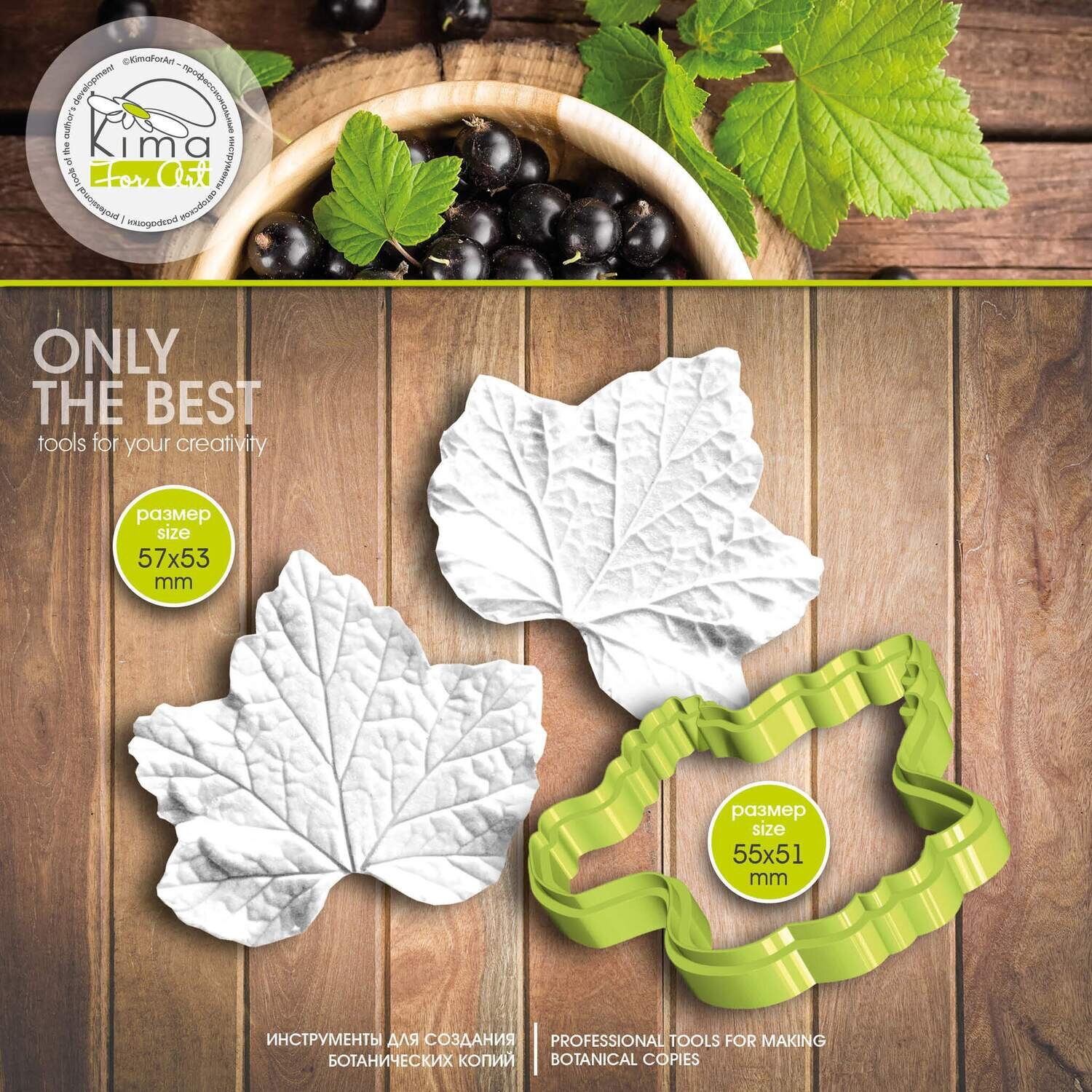 Currant leaf L