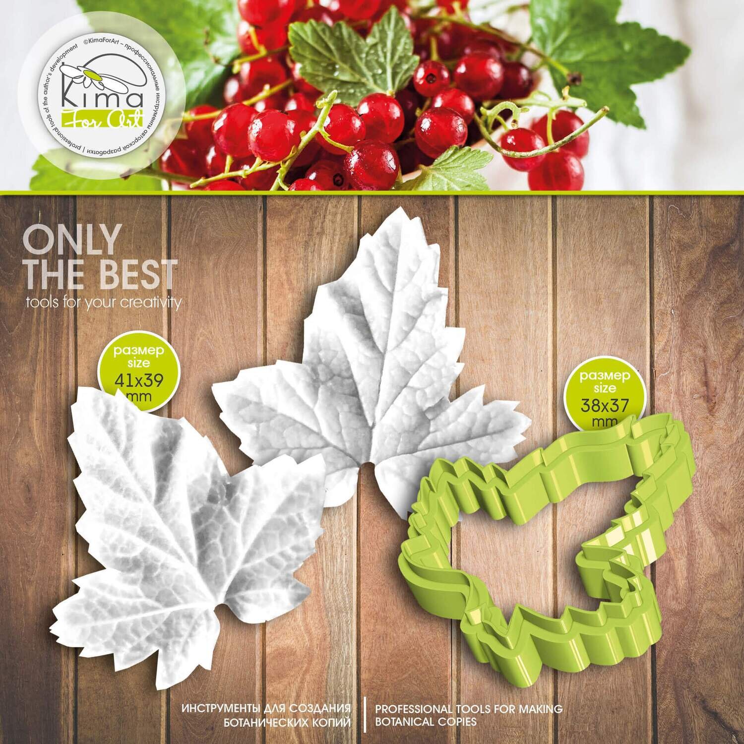 Currant leaf S