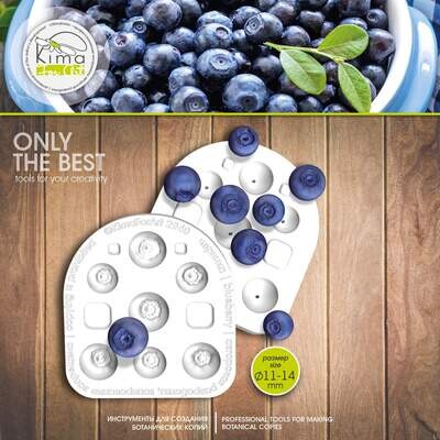 Blueberries XL