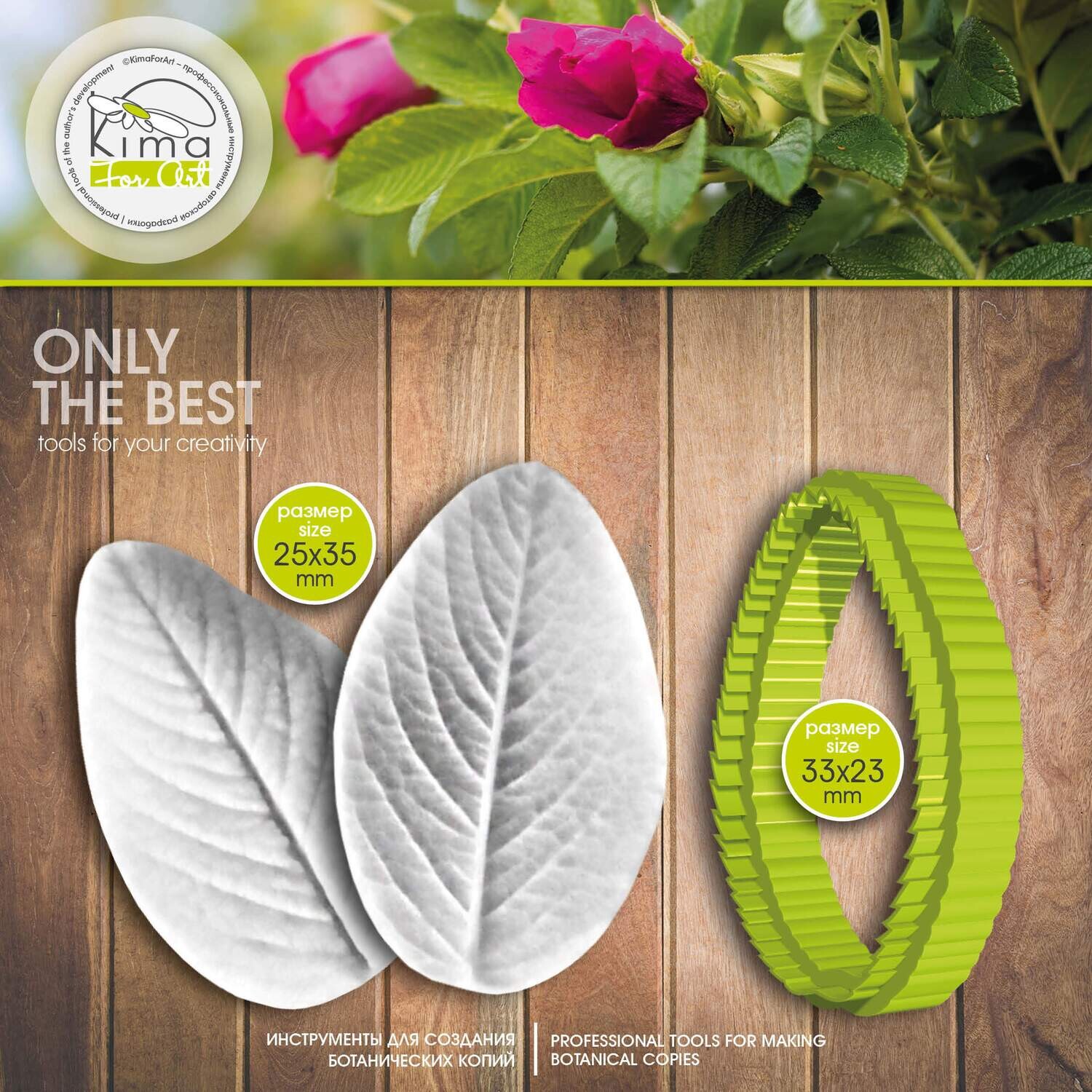 Rosehip leaf S