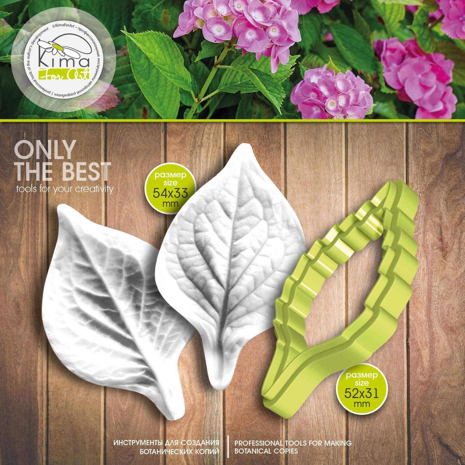 Hydrangea leaf S