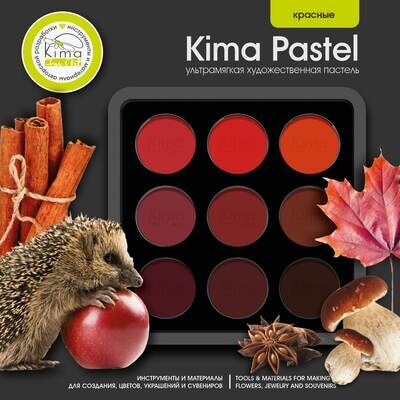 Pastel box for 9 colors of 2.5 ml | red-brown palette