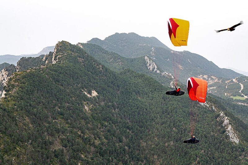 Parapente Avid Gin Gliders