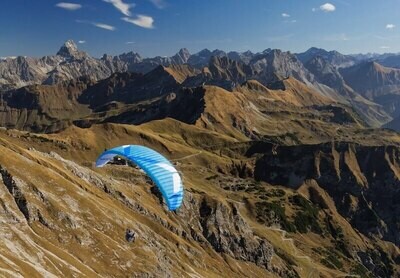 Parapente Moxie Ozone