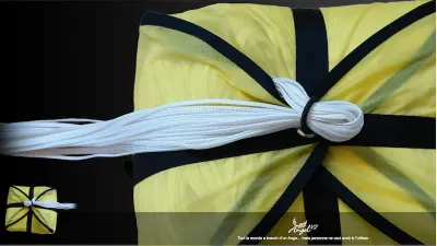 Parachute de Secours Angel V2 Ozone