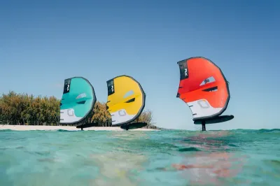 Aile de Wing Fly Ozone