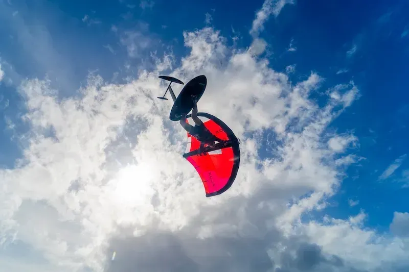 Aile de Wing Flux V2 Ozone