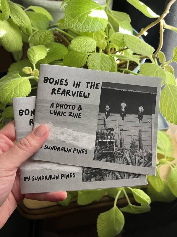 *NEW* Bones In The Rearview Zine