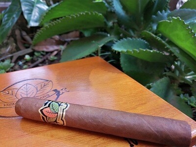 Vismark Robusto Medium Bodied Box Of 25