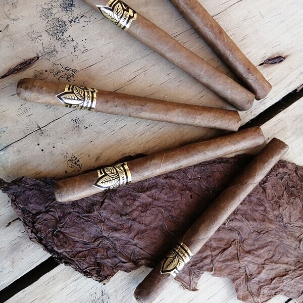 Vismark Señoritas Light Bodied Pack Of 10
