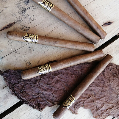 Vismark Señorita Light Bodied Single