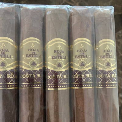 Vismark Hoja De Esteli Bundle