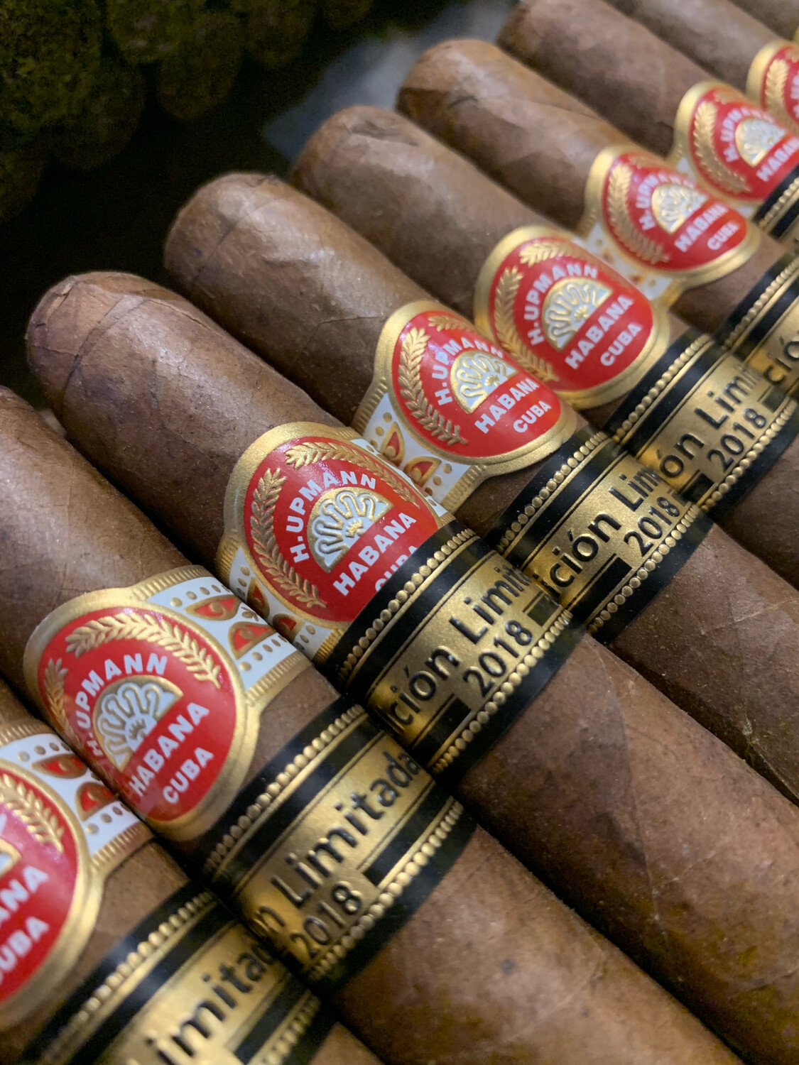 H.Upmann Propius Edition Limitada 2018 
