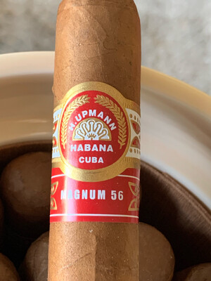 H.Upmann Magnum 56 - 20 Unidades Ceramic Jar  - Special Release - Single