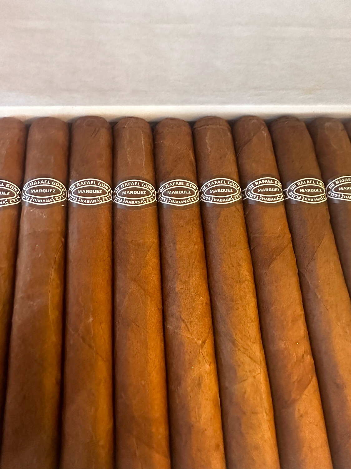 Rafael Gonzalez Petit Coronas 2016
