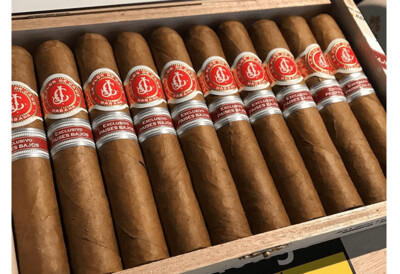 La Flor De Cano Robusto ER Paises Bajos Single