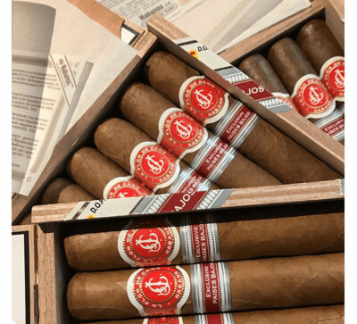 La Flor De Cano Robusto ER Paises Bajos Single