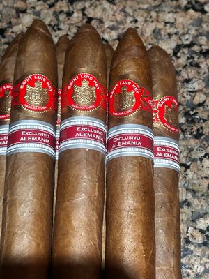 SAINT LUIS REY BELICOSOS EDICIÓN REGIONAL ALEMANIA