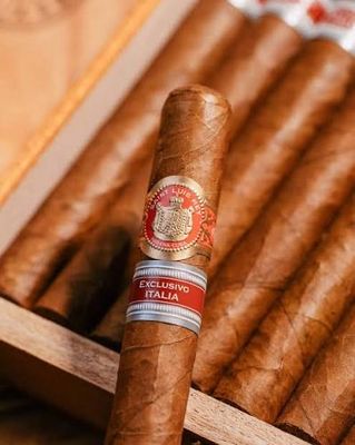 Saint Luis Ray La Cuna Exclusive Italia