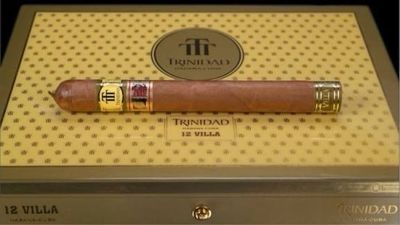 Trinidad VILLA LCDH