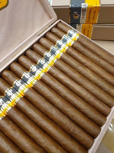 Cohiba Esplendidos single