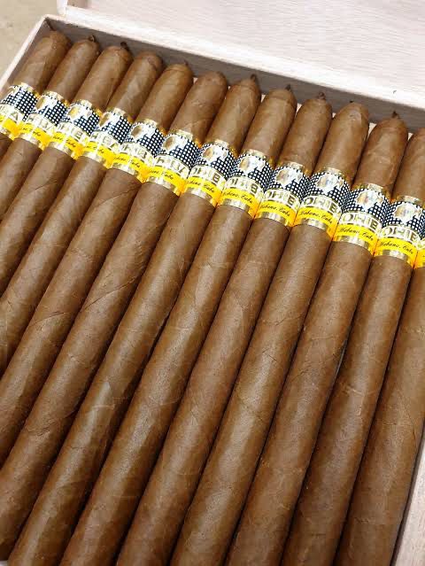 Cohiba Lanceros single