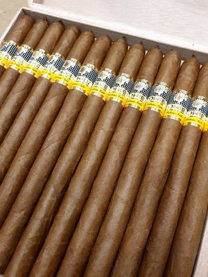 Cohiba Lanceros single