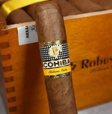 Cohiba Robustos single