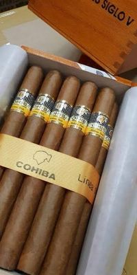 Cohiba Siglo5 single