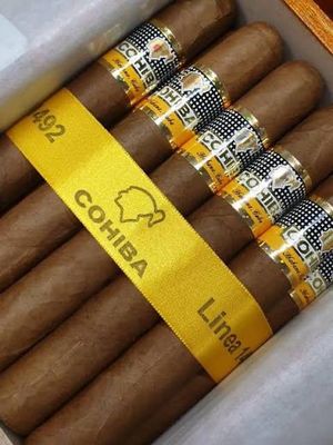 Cohiba Siglo4 single