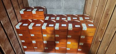 Cohiba Siglo6 box of 25