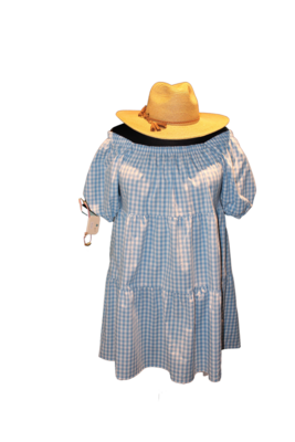 Gingham Square Neck Pull Sleeve  Tiered Dress
