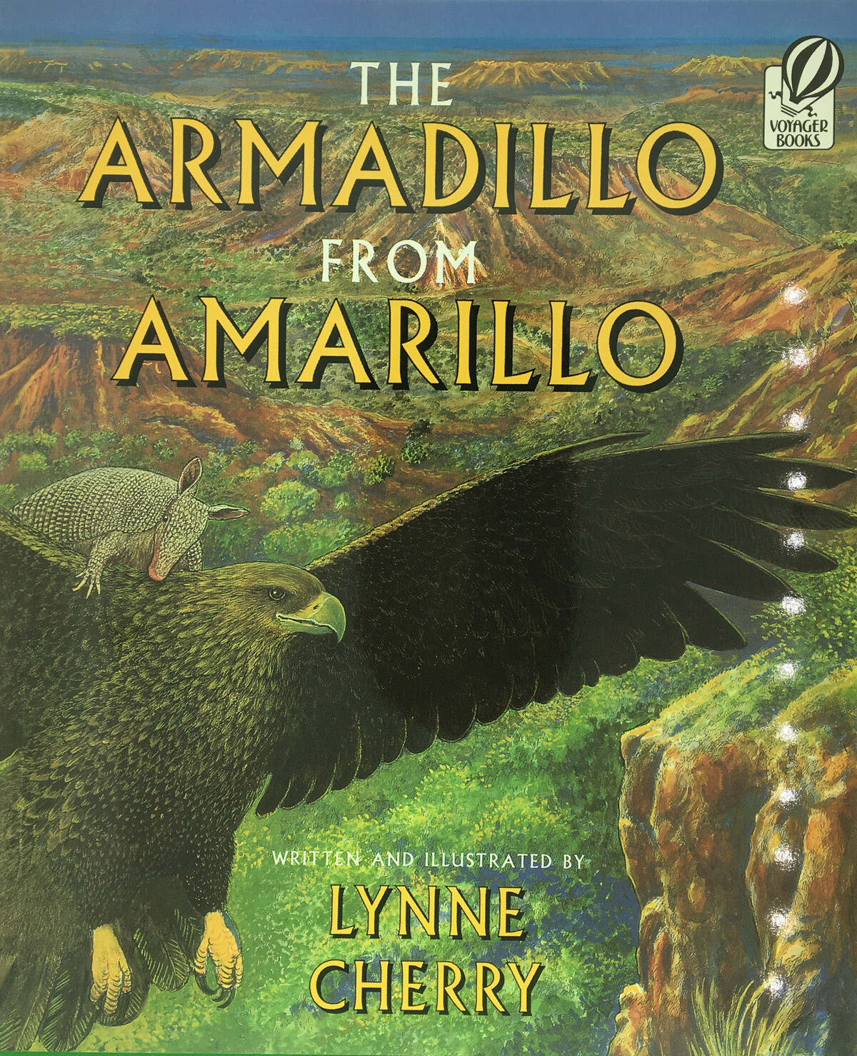 Armadillo From Amarillo Paperback 