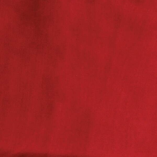 Red Solid XS Wild Rag 
