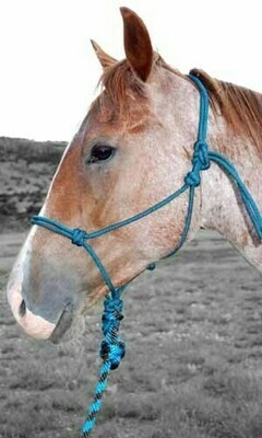 Chocolate/Turquoise Rope Halter w/Lead