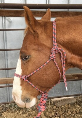 Royal Rope Halter w/Lead