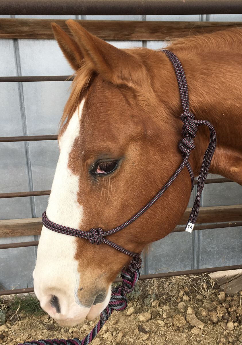 Halters & Lead Ropes