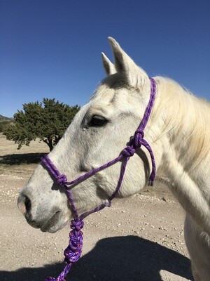 Purple/Multi Rope Halter w/Lead