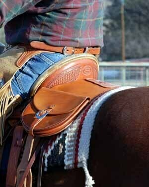 Saddle Bags &amp; Cantle Bags