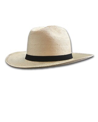 Palm Leaf Open Road Hat