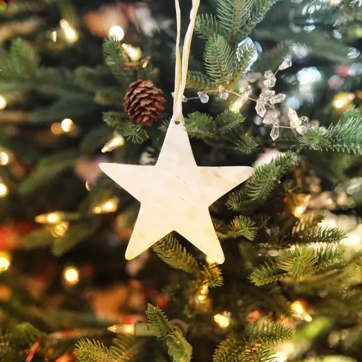 Star Cow Horn Ornament 