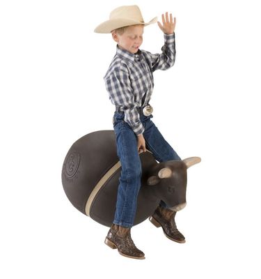 Bouncy Bull 