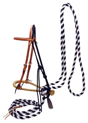 Rawhide Hackamore