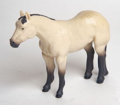 Buckskin Quarter Horse